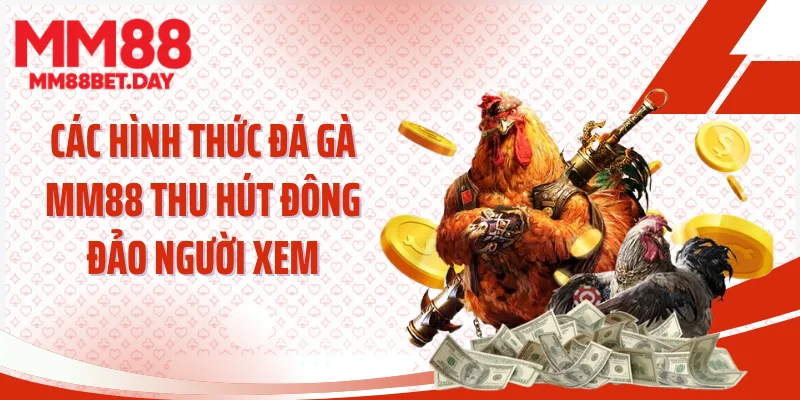 Các hình thức đá gà MM88 thu hút đông đảo người xem